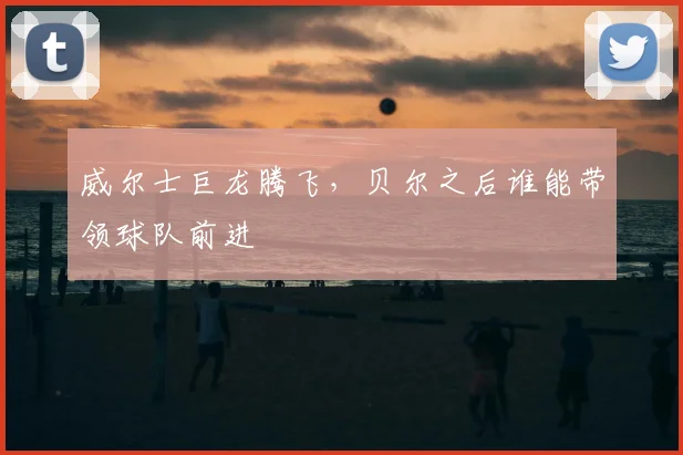 威尔士巨龙腾飞,贝尔之后谁能带领球队前进